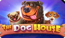 Gonzo Casino – The Dog House